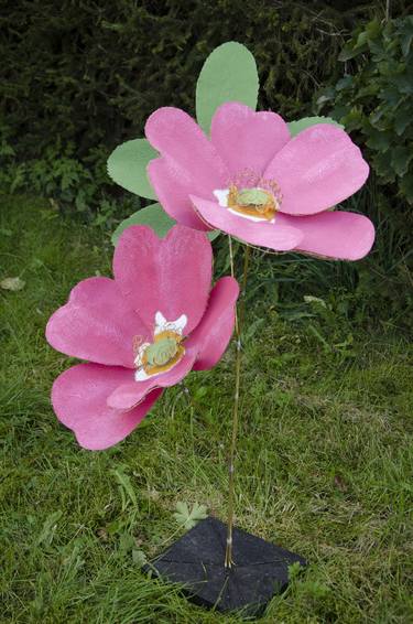 Wilde Flower Rose thumb