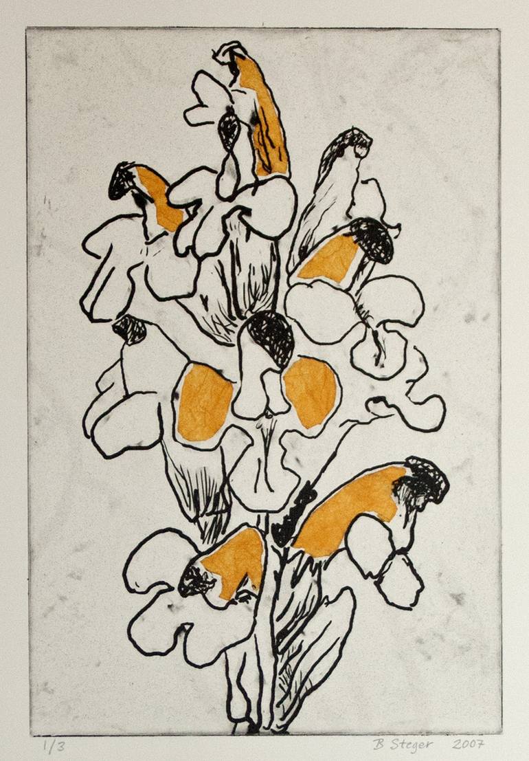 Original Botanic Printmaking by Birgitta Steger