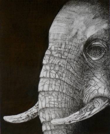 Original Animal Drawing by Cassandra Gordon-Harris