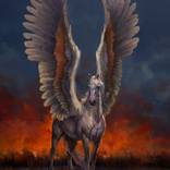 The Night Ascent by Mahmood Hayat