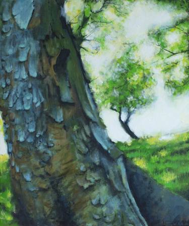 Original Realism Tree Paintings by Toby Hazel