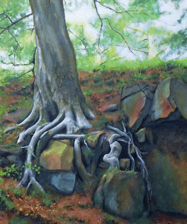 Original Realism Tree Paintings by Toby Hazel