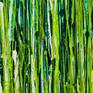 Expressive modern abstract, bold full of life, gloss and shimmer! inspired by nature. Shades of green and white over green/teal background. signed in front with gold ink.

I include a certificate of authenticity that lists the materials as well as when the painting was completed. Fine high quality materials such Golden colors products are used and protective spray for sunlight protection.

Please contact me if you have any questions about this or any other one of my paintings!

Thanks,
Nestor