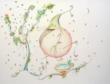 Original Nature Drawings by Marian M Canizares