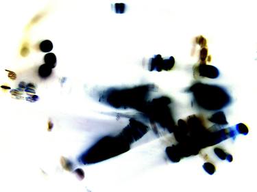 Original Abstract Expressionism Abstract Photography by Julia Chaitsyna