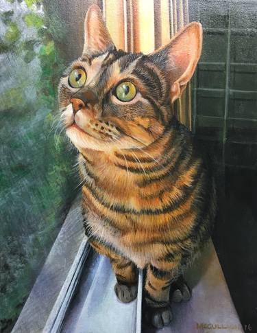 Print of Photorealism Cats Paintings by William McCullagh