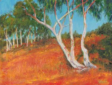 Outback Australia, Ghost Gums of Pine Creek thumb