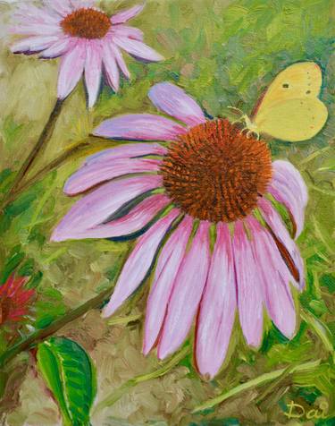 Echinacea with butterfly thumb