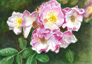 Print of Floral Paintings by Dai Wynn