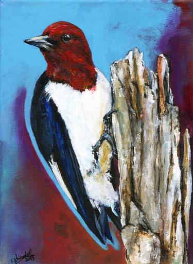 Red-Headed Woodpecker thumb