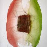 Sorbet fraise basilic by Isabelle Joubert