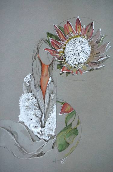 Protea II thumb