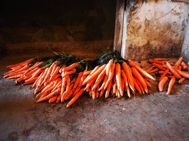 Carrots thumb