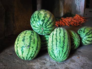 Melons thumb