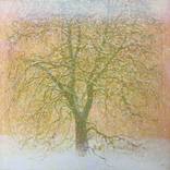 Collection Inspired by Zen