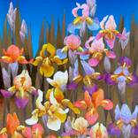 Irises by Yulia Luchkina