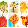 Collection Paintings of Flowers