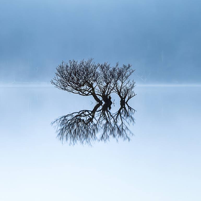 Original Minimalism Landscape Photography by Lynne Douglas