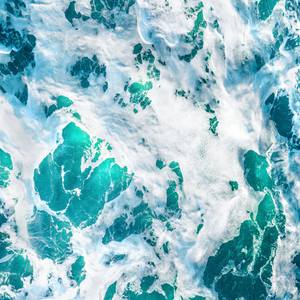 Collection Collector Favorites: Best of 2025