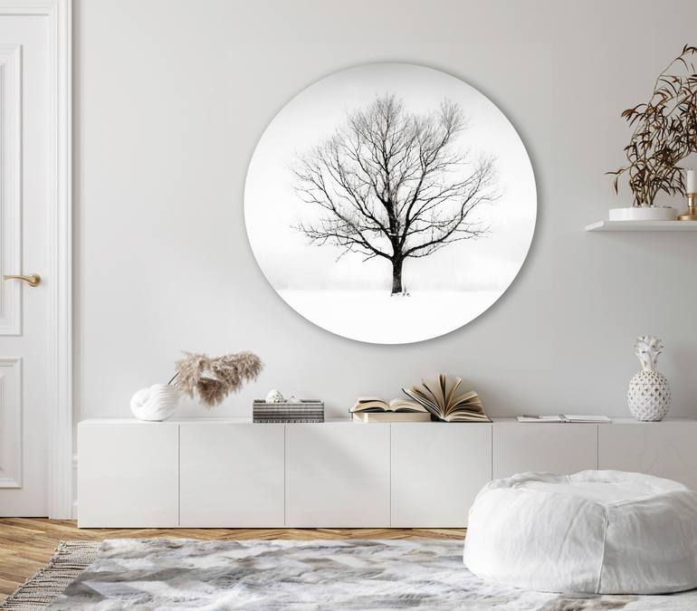 Original Contemporary Landscape Photography by Lynne Douglas