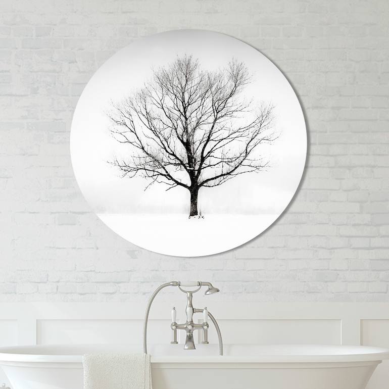 Original Contemporary Landscape Photography by Lynne Douglas