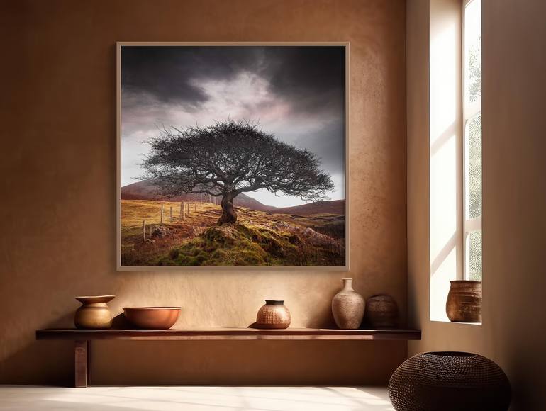 Original Landscape Photography by Lynne Douglas