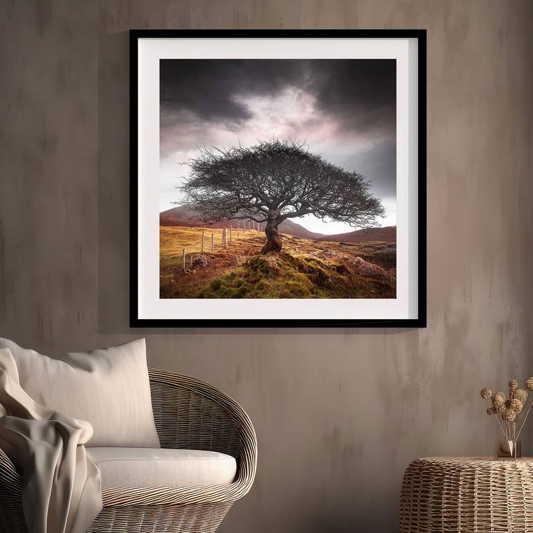 Original Fine Art Landscape Photography by Lynne Douglas