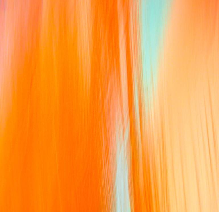 Original Abstract Beach Photography by Lynne Douglas