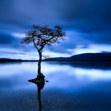 Original Fine Art Landscape Photography by Lynne Douglas