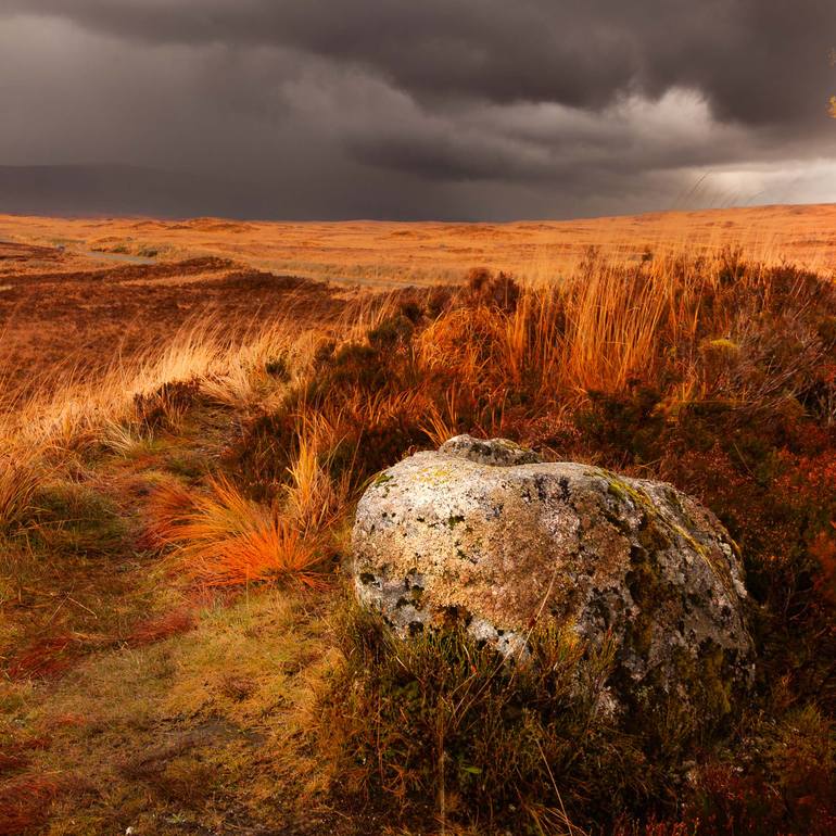 Original Photorealism Landscape Photography by Lynne Douglas