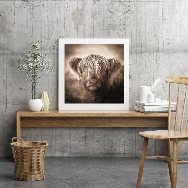 Original Photorealism Animal Photography by Lynne Douglas
