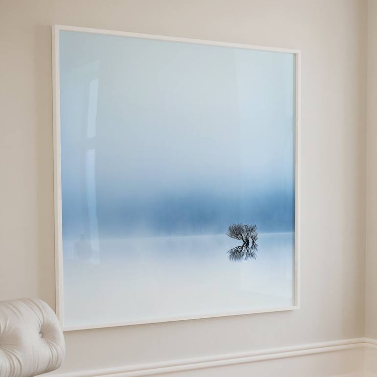 Original Contemporary Nature Photography by Lynne Douglas