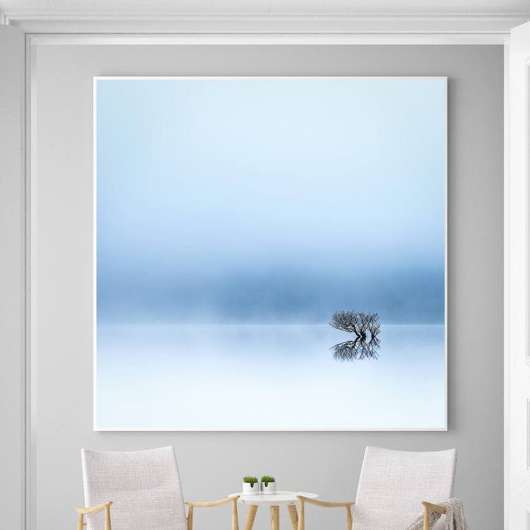 Original Contemporary Nature Photography by Lynne Douglas