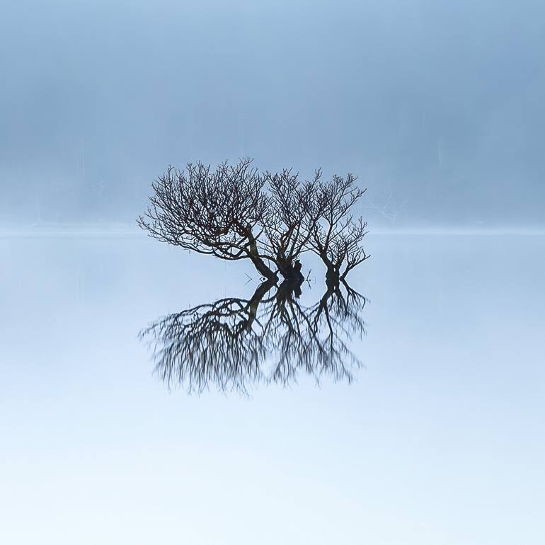 Original Contemporary Nature Photography by Lynne Douglas