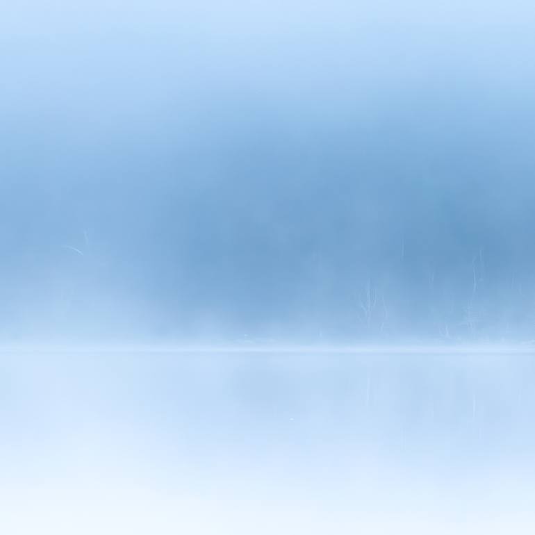 Original Contemporary Nature Photography by Lynne Douglas