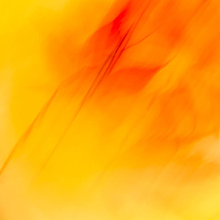 Original  Photography by lynne douglas
