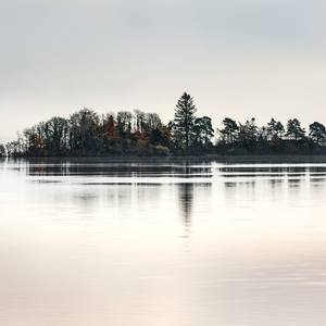 Collection Artists of the Week 02-04-2019