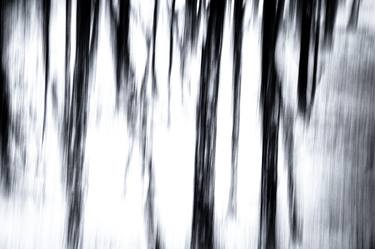 Original Abstract Photography by Lynne Douglas