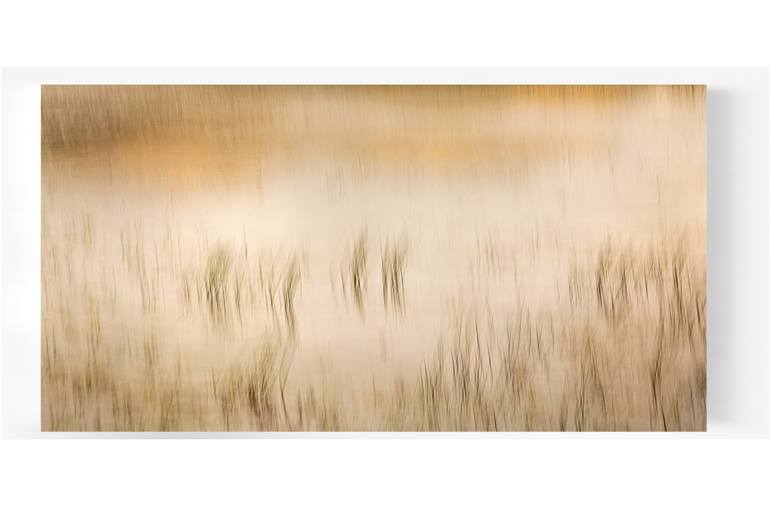 Original Impressionism Abstract Photography by Lynne Douglas