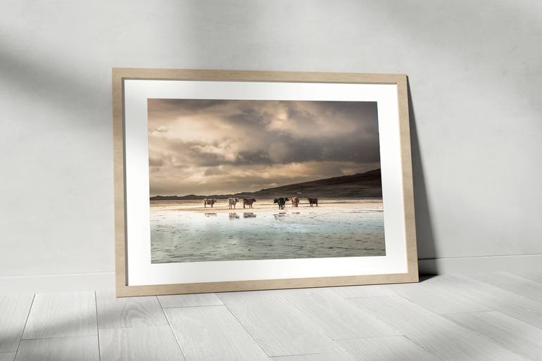 Original Modernism Beach Photography by Lynne Douglas