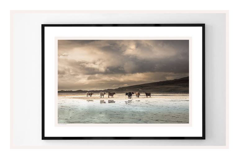 Original Modernism Beach Photography by Lynne Douglas