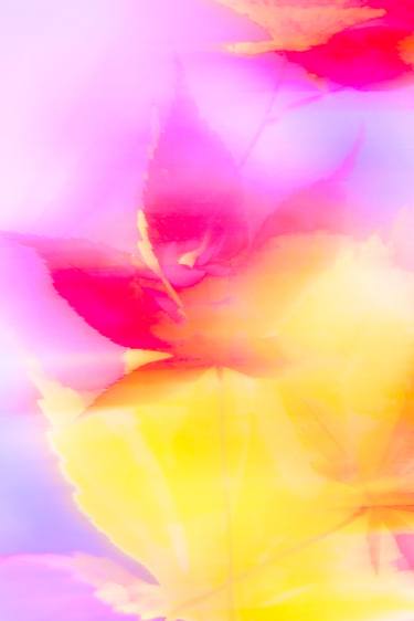 Original Impressionism Abstract Photography by Lynne Douglas