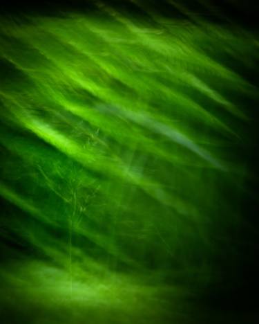 Print of Conceptual Abstract Photography by Lynne Douglas