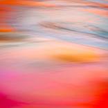 Collection New This Week 04-04-2022