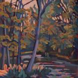 Chagrin Falls II by Nina Weiss
