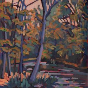 Chagrin Falls II