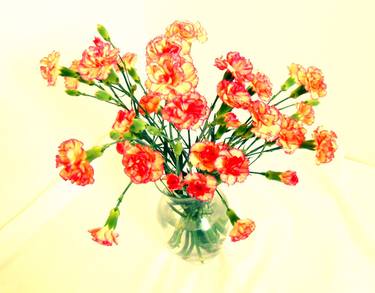 Carnations (2013) (Original) thumb