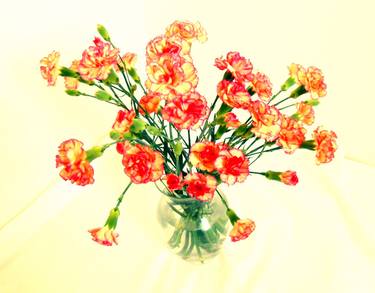 Original Photorealism Floral Photography by Dietmar Scherf