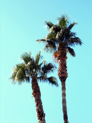 Original Beach Photography by Dietmar Scherf