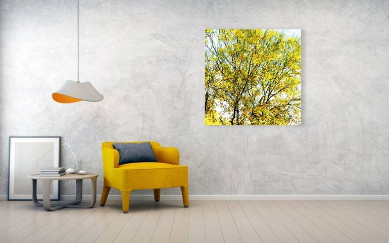 Original Photorealism Tree Photography by Dietmar Scherf